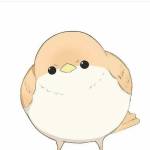 Sparrow030 Profile Picture