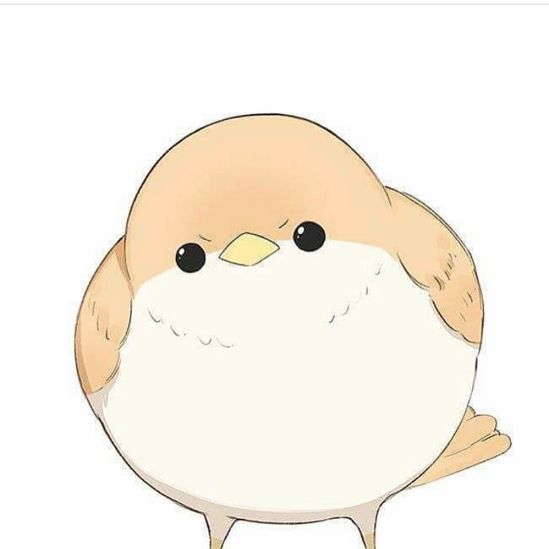 Sparrow030 Profile Picture