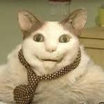 XZIBFS Profile Picture