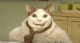 XZIBFS Profile Picture