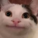 Feltyhides1 Profile Picture