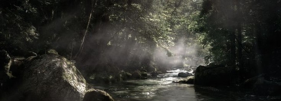 snxst Cover Image