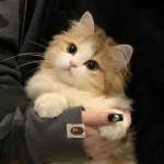 lianka_1 Profile Picture