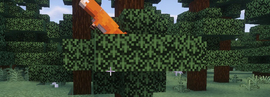 Bruh Cover Image