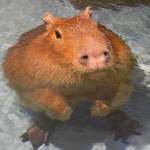 Axioonz Profile Picture