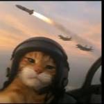 Pizzzce Profile Picture