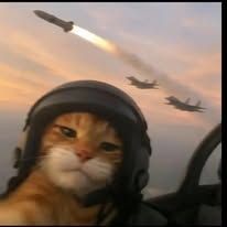 Pizzzce Profile Picture