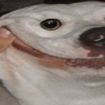 NOrd1x Profile Picture