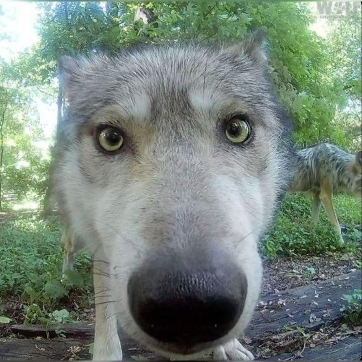 Svatoi_ Profile Picture