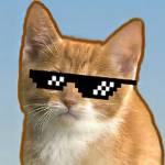 Game_Cool Profile Picture