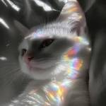 mintxup_xyz Profile Picture