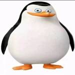FLOCKI Profile Picture