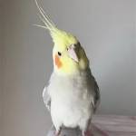 putana profile picture