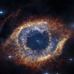 _SIRIUS_11 profile picture