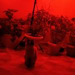 Iphone Profile Picture