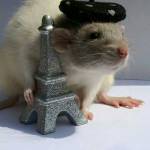 3JloN_KruCuKa Profile Picture