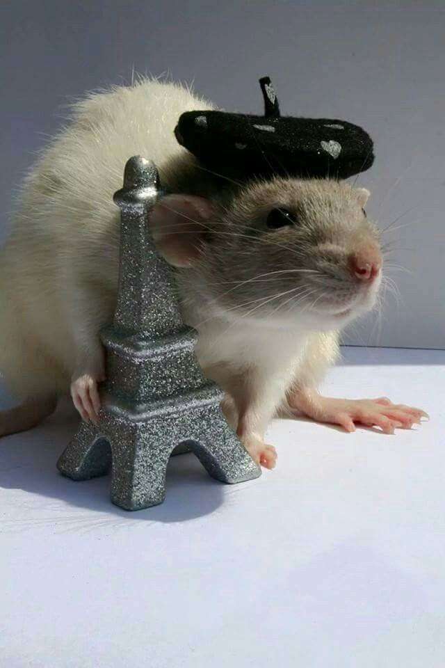 3JloN_KruCuKa Profile Picture