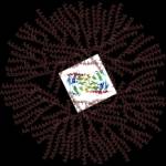 Prikolni4el Profile Picture