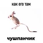 Lion0x0 Profile Picture