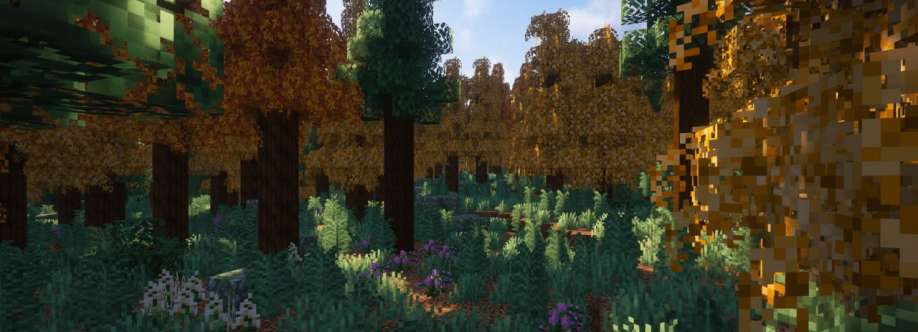 Комплекс "Ночь" Cover Image