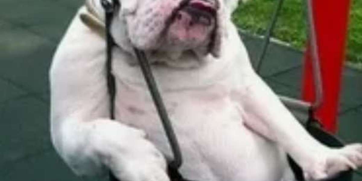 как зайти на сервк?