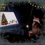 _VaSelisK_01 Profile Picture