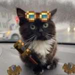 MManick Profile Picture