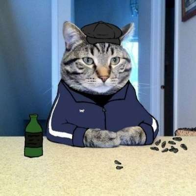 StRaZh228 Profile Picture