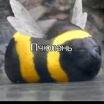 sigmacancer Profile Picture