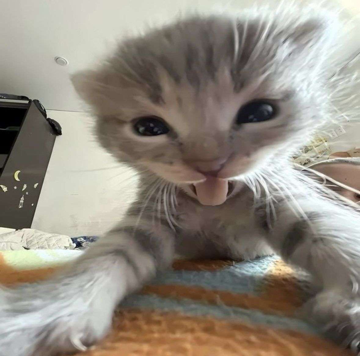 kumika Profile Picture