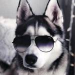 Svyatik_339 profile picture