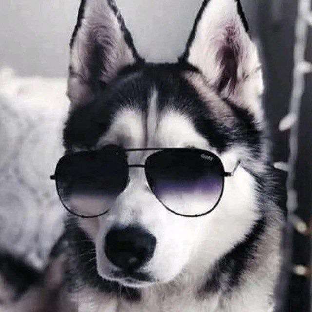 Svyatik_339 Profile Picture