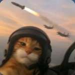 steza Profile Picture