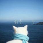 Lipezh Profile Picture