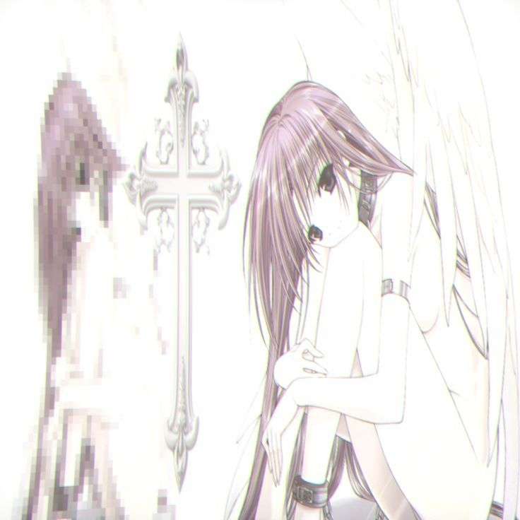 proxxy Profile Picture