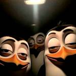 moki_333222 Profile Picture