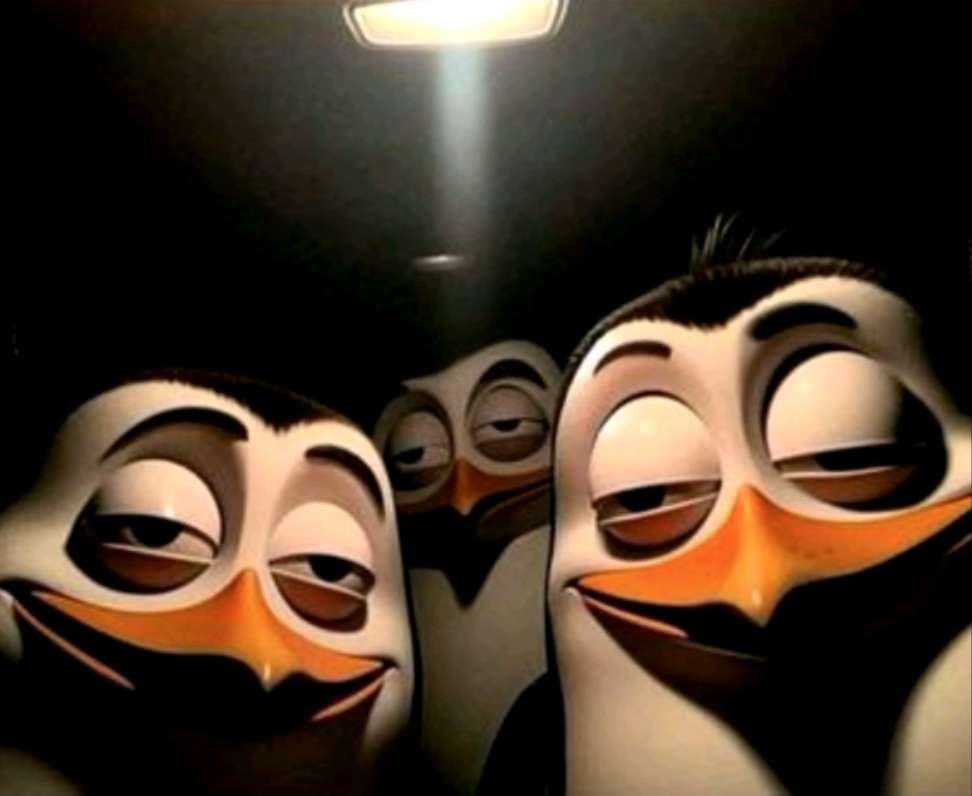 moki_333222 Profile Picture