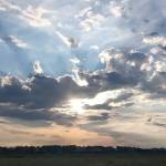 ignat3011cat Profile Picture