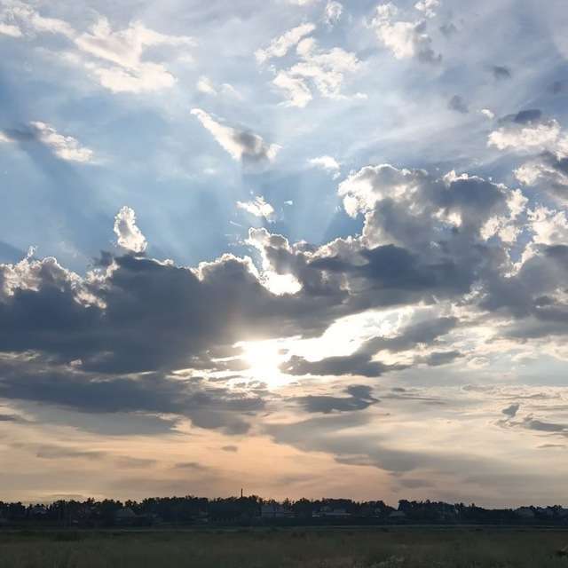 ignat3011cat Profile Picture