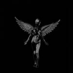 stol228 Profile Picture