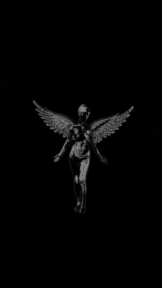 stol228 Profile Picture