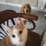 romario27 Profile Picture