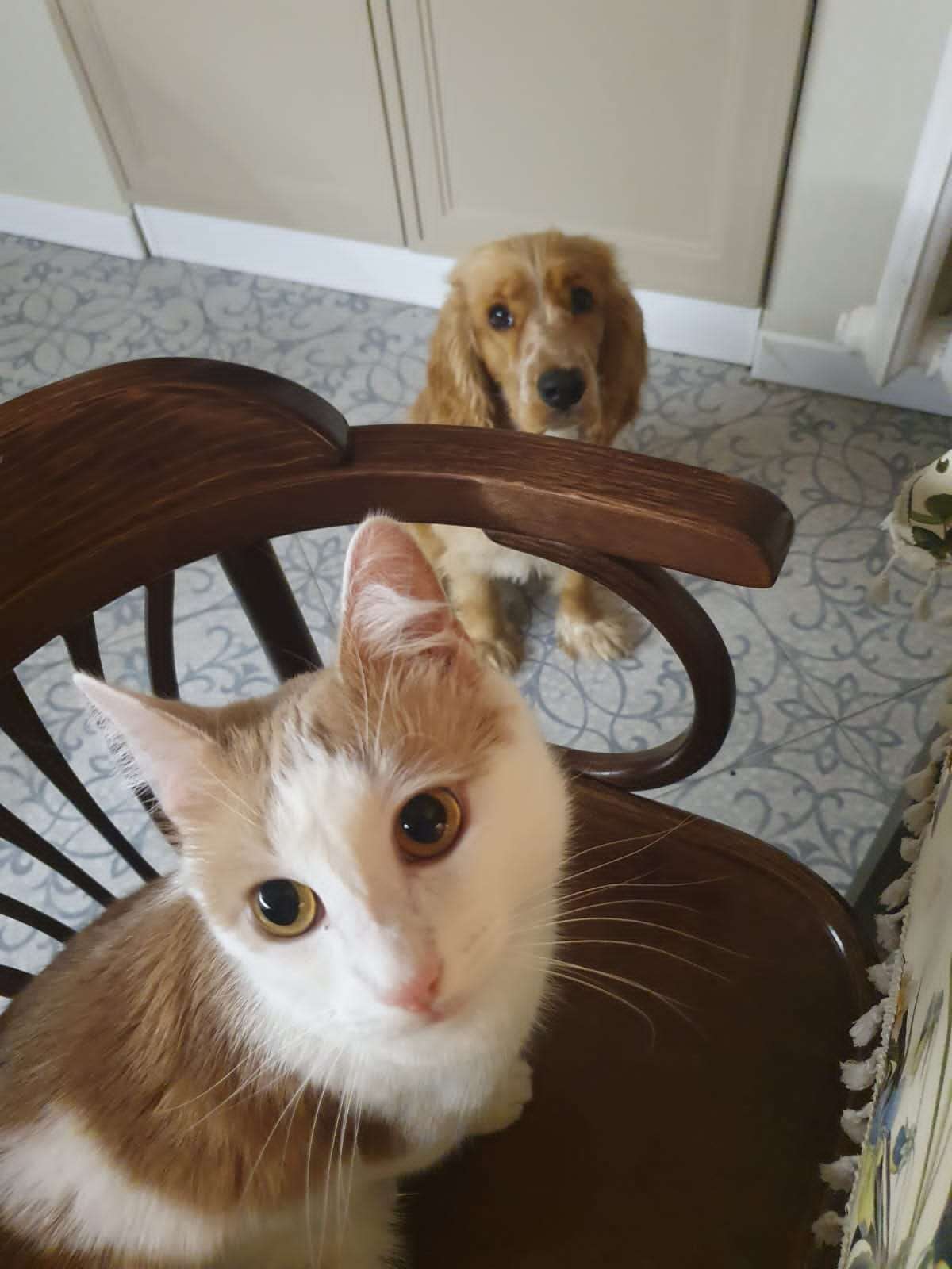 romario27 Profile Picture