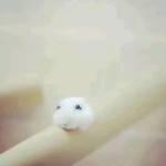 jopa228 Profile Picture