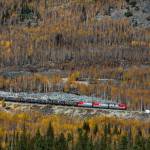 Marrkeerr Profile Picture